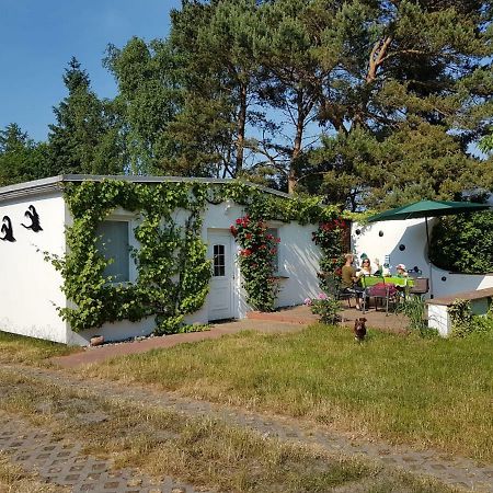 Villa Ferienhäuschen Born Exterior foto