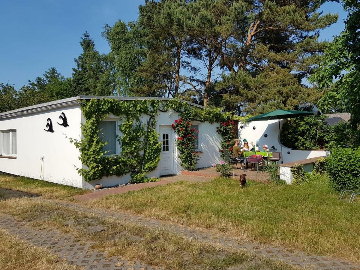 Villa Ferienhäuschen Born Exterior foto